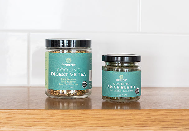 What is a Pitta Diet? 🤷♂️