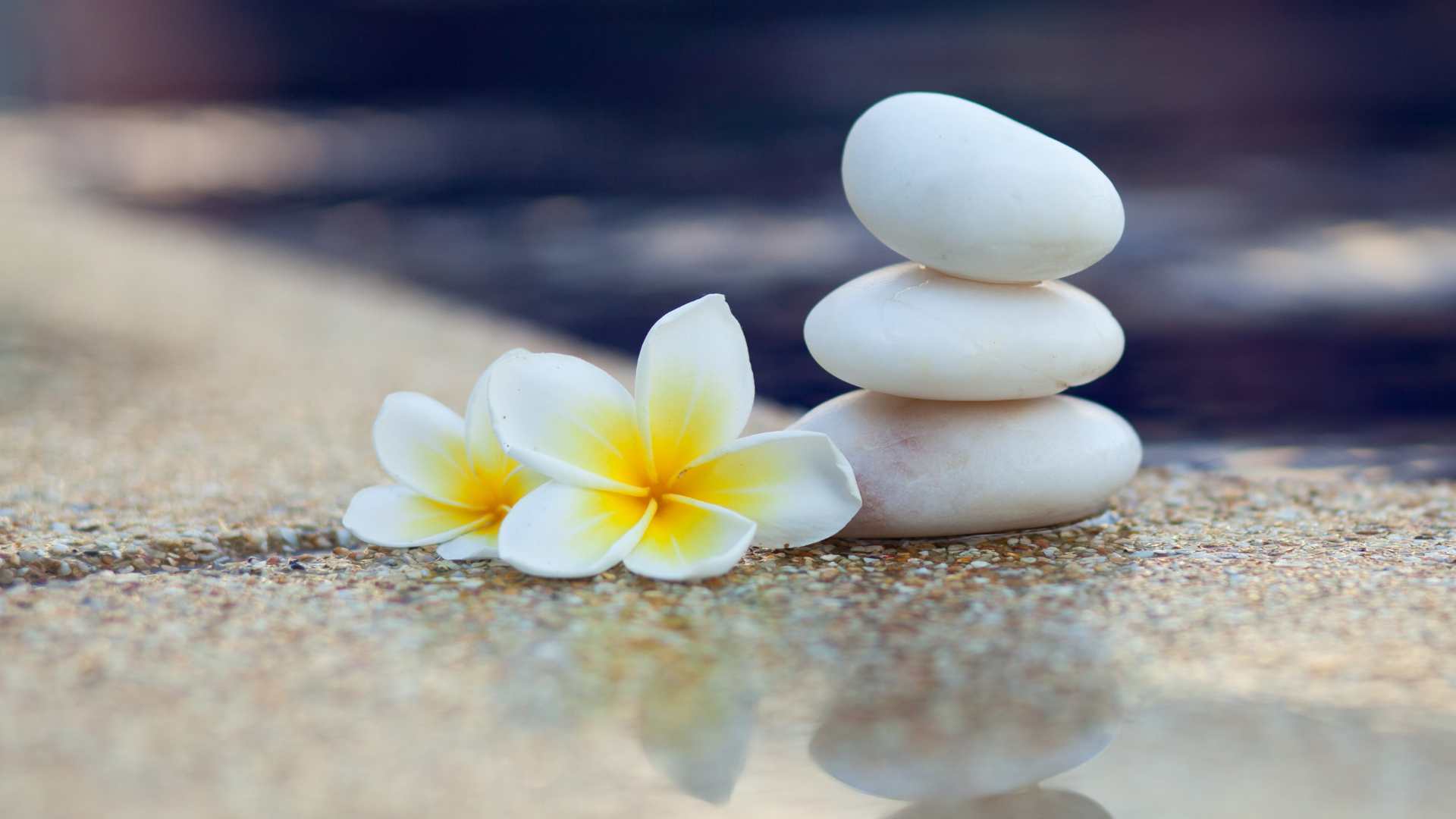 Introduction to The Three Pillars of Life According to Ayurveda