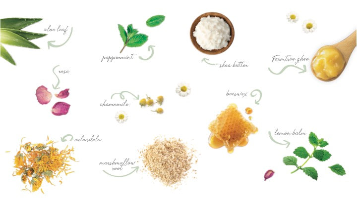 Holistic Ayurvedic Skincare Principles for All Doshas