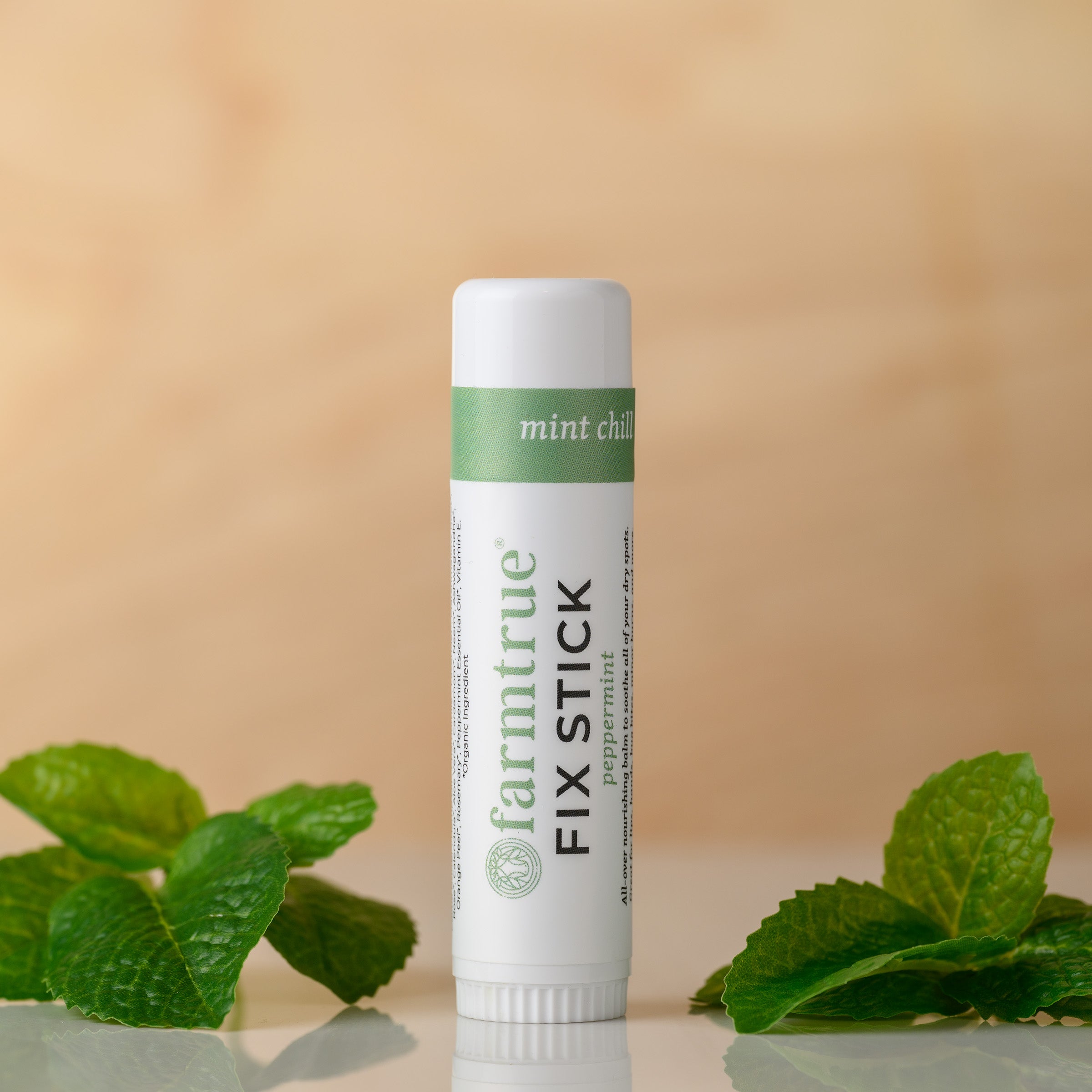 Fix Stick 10-Pack: 2x Cardamom Limeade, 2x Cherry Vanilla, 2x Citrus Bliss, 2x Mint Chill & 2x Pure - SPECIAL Farmtrue | Berkshires