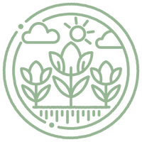 AYURVEDIC RECIPES FOR SPRING