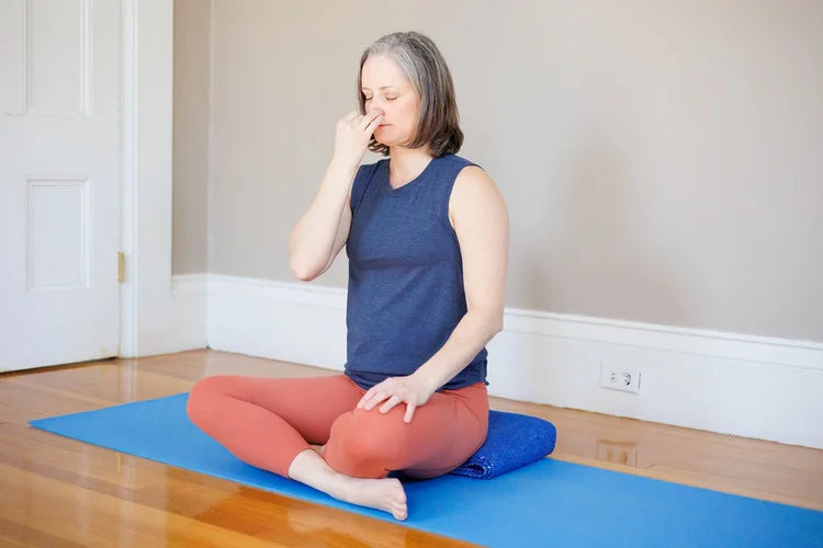 10-Day Fall Ayurveda Reset 2026 - Online Course