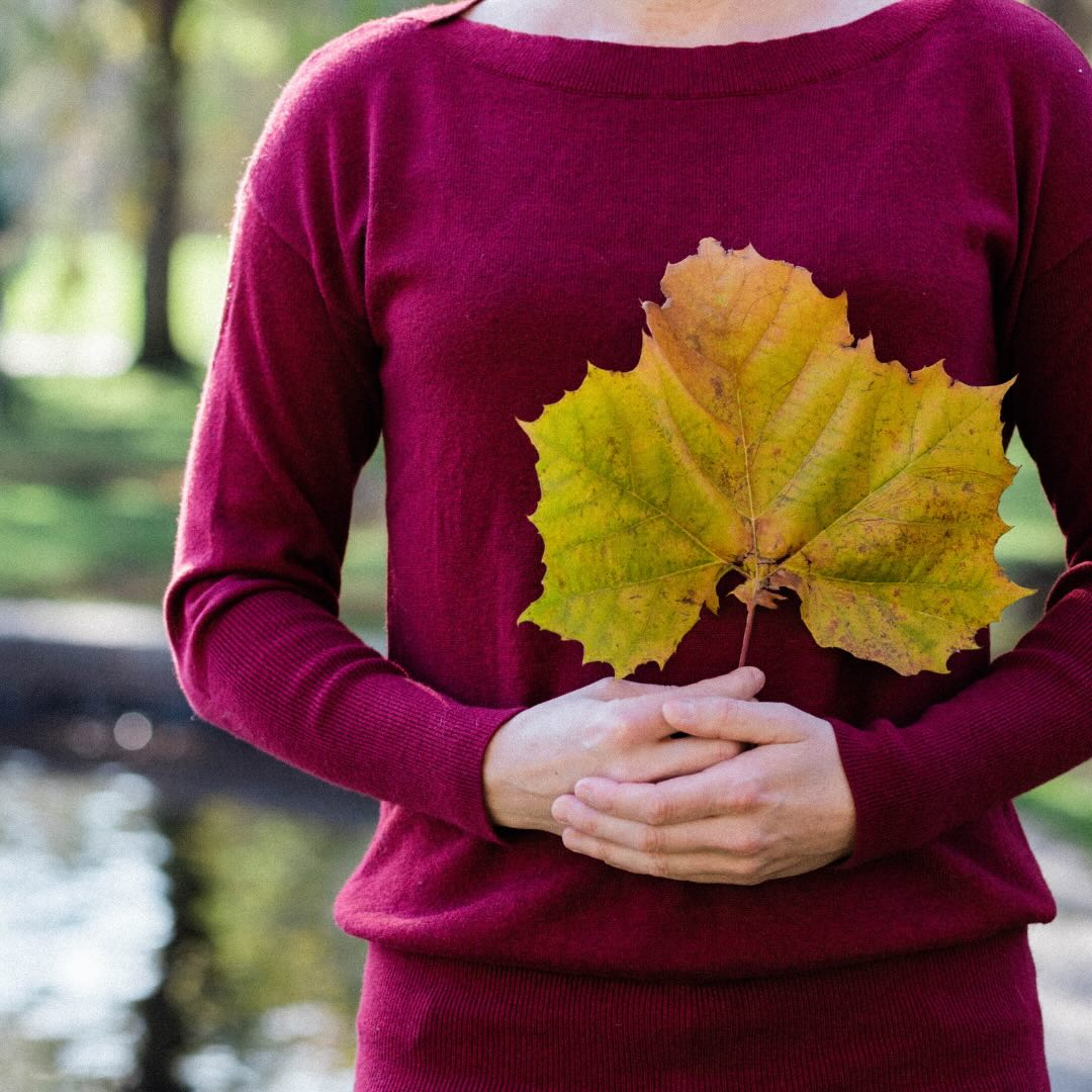 10-Day Fall Ayurveda Reset 2026 - Online Course